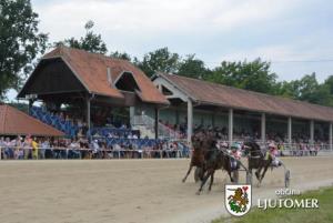 Junijske kasaške dirke v Ljutomeru 5